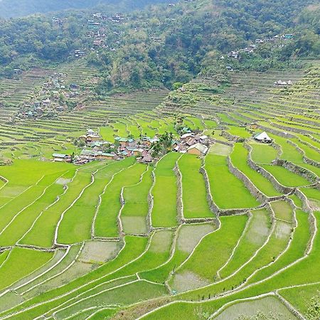 Banaue Transient House Bed And Breakfast Екстер'єр фото